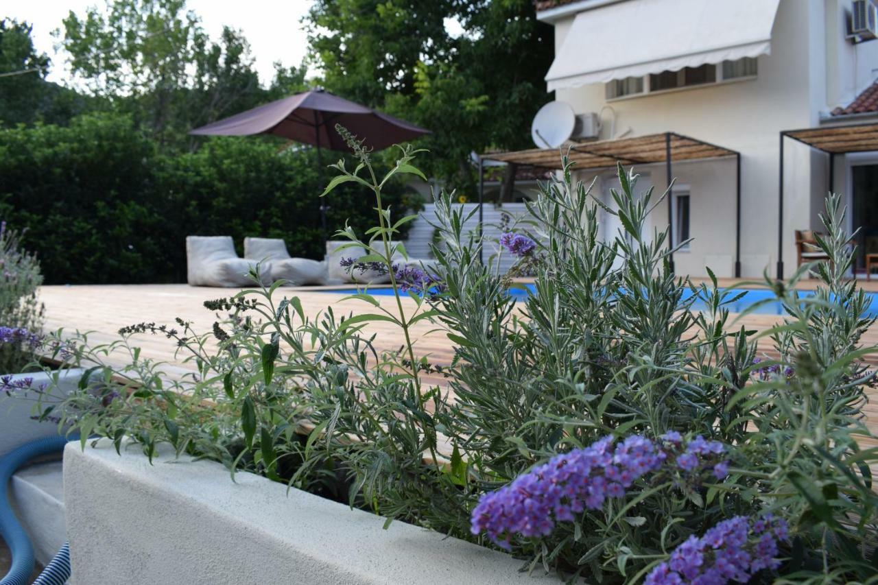Serenity Luxury Villa, Skiathos Agia Paraskevi (Skiathos)
