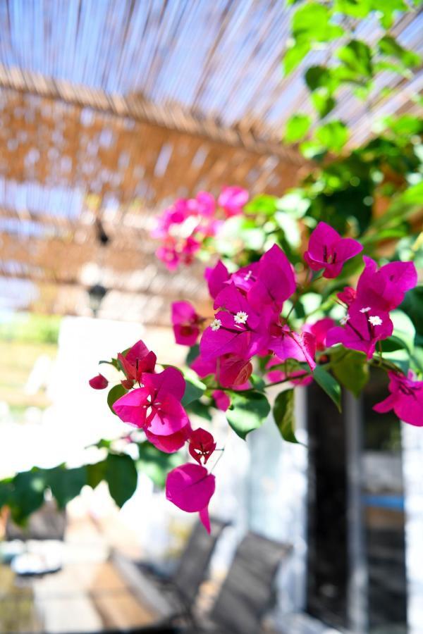Villa Serenity Luxury Villa, Skiathos Agia Paraskevi (Skiathos)