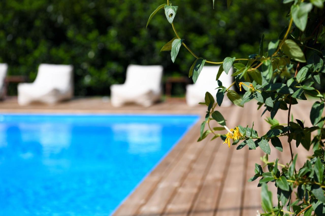 Serenity Luxury Villa, Skiathos Villa *